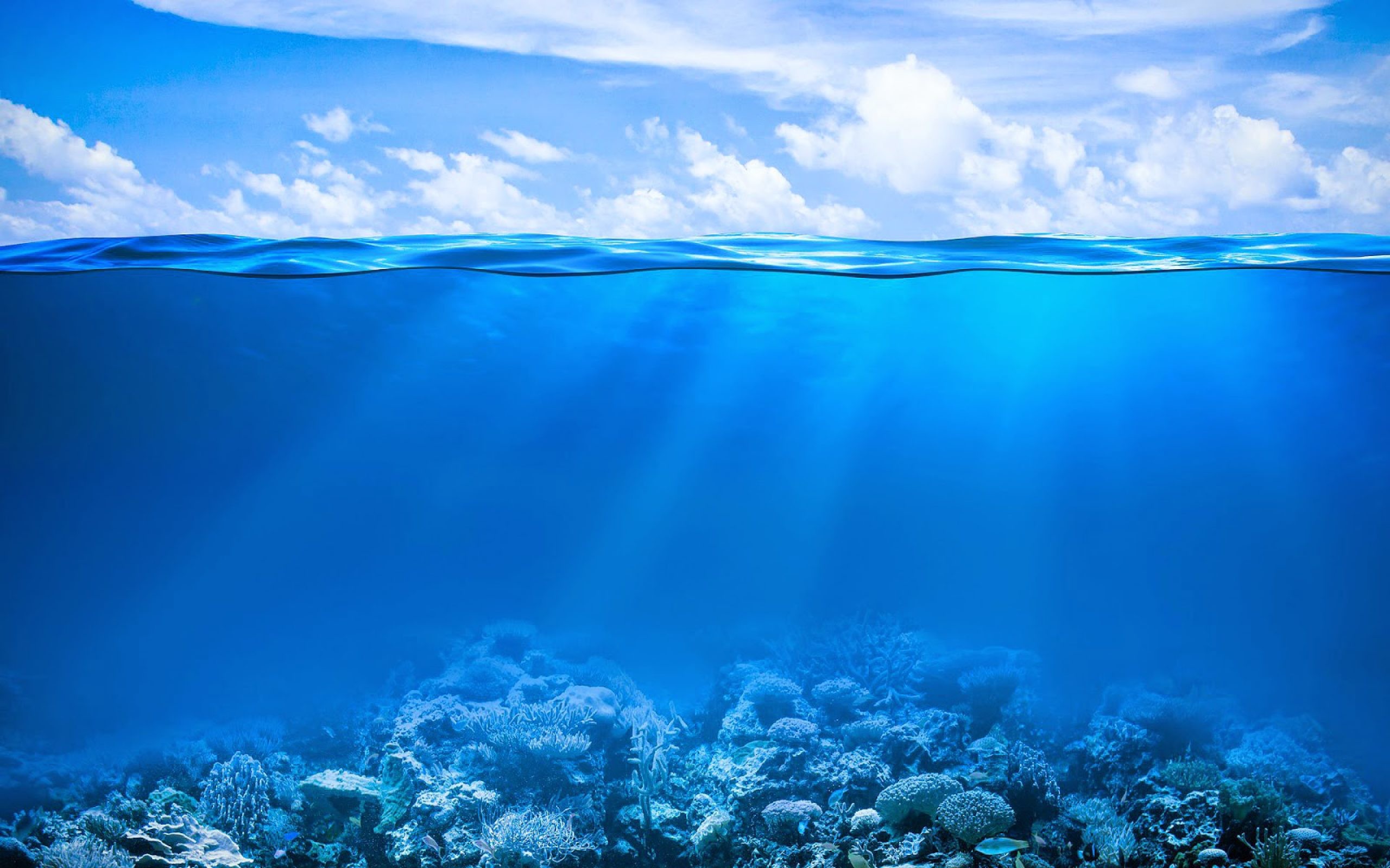 Unter Dem Meer